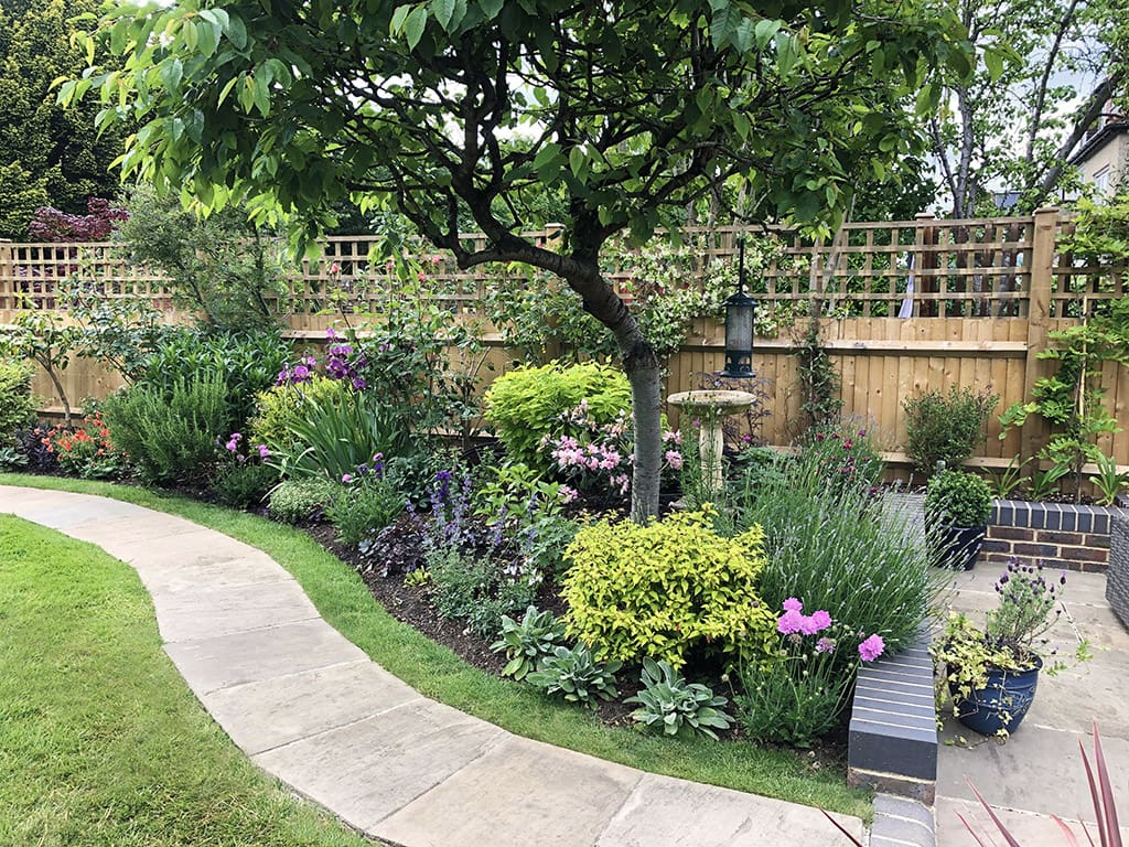 Garden Transformation